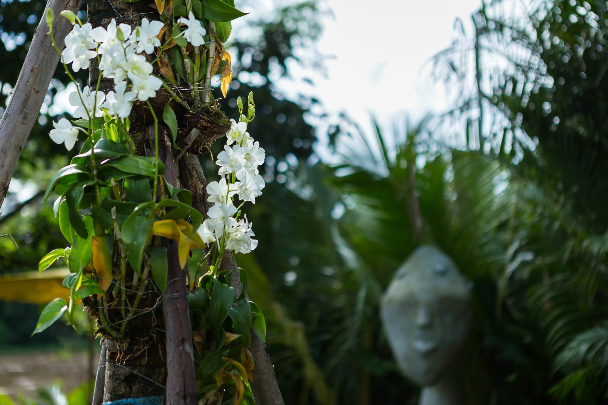 River Art Hotel Chiang Mai Esterno foto